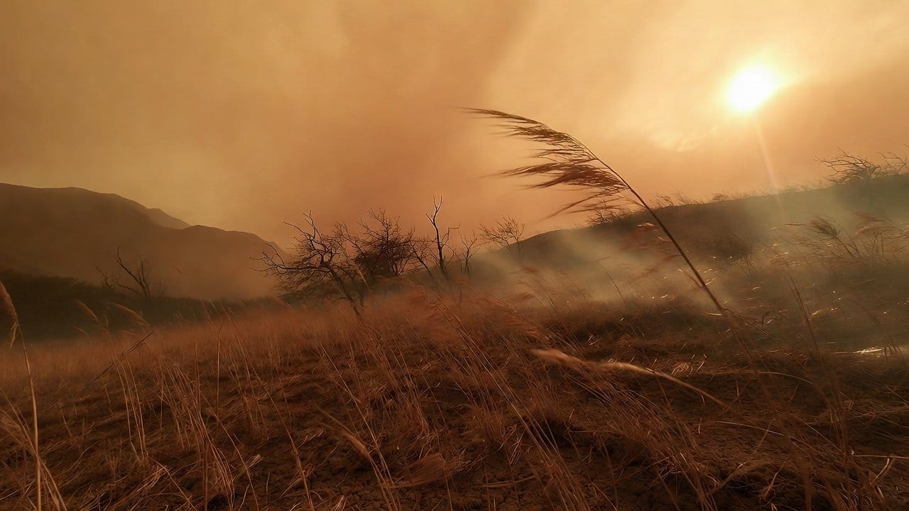 What A Fire Weather Watch Says About Today’s Conditions